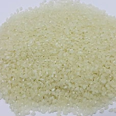 Japonica Rice